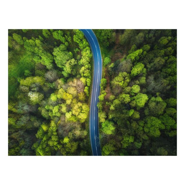 Paraschizzi in vetro - Aerial View - Asphalt Road In The Forest