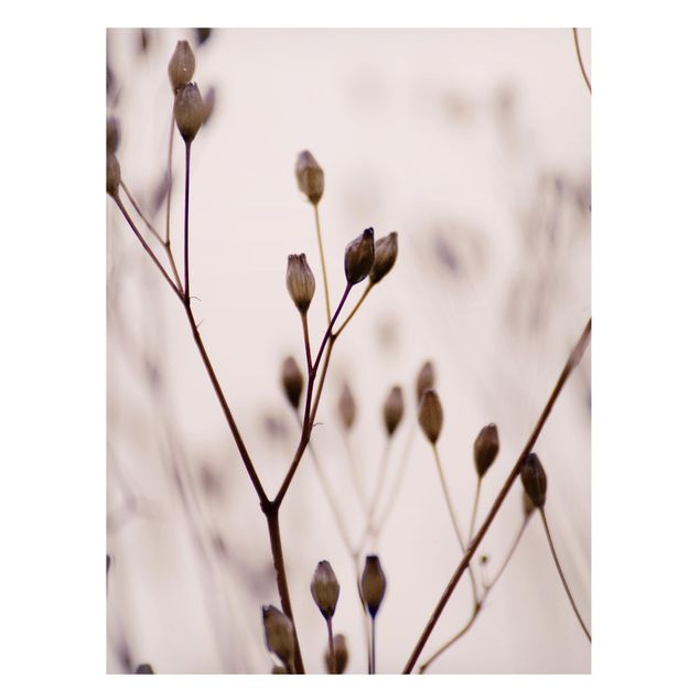 Quadro moderno Boccioli scuri su ramoscello di fiore selvatico