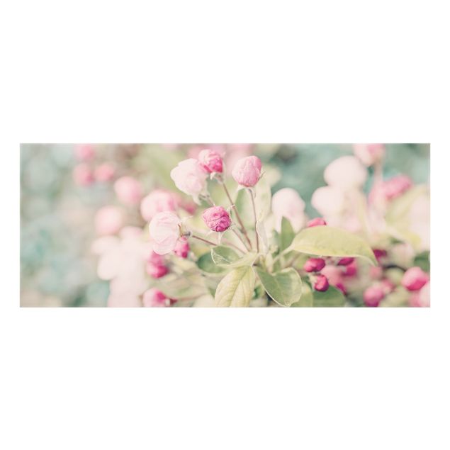Decorazioni cucina Bokeh di fiori di melo rosa chiaro