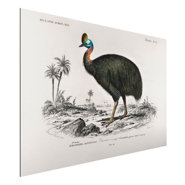 Quadri paesaggistici Bacheca Vintage Emu