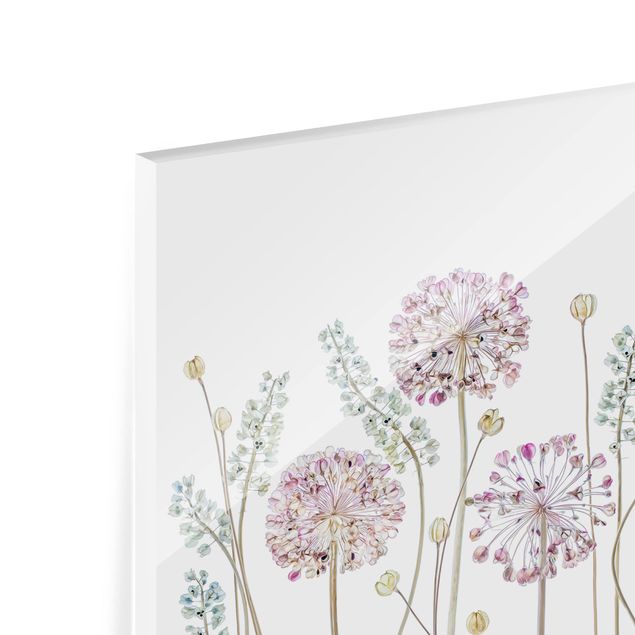 Paraschizzi in vetro - Allium Illustration