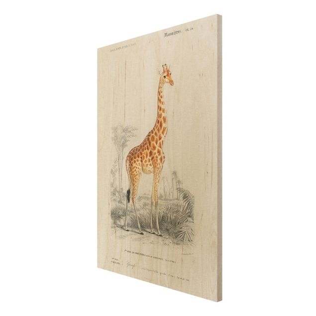 Stampe su legno Bacheca vintage Giraffa