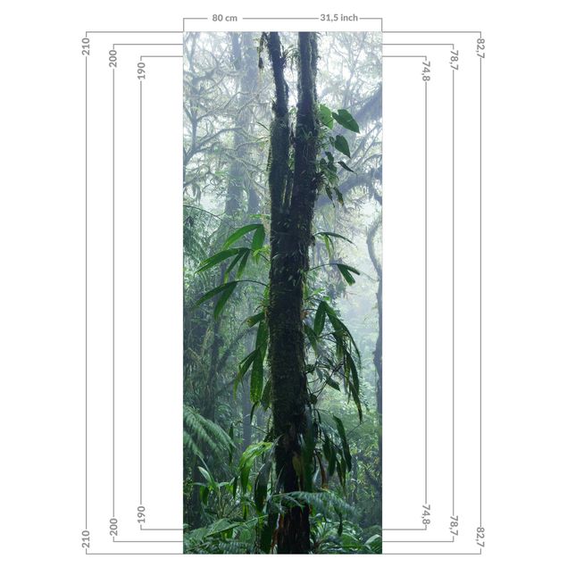 Rivestimento per doccia - Foresta nuvolosa di Monteverde
