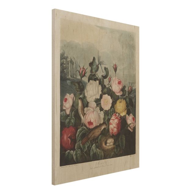 Quadri in legno vintage Illustrazione botanica vintage di rose