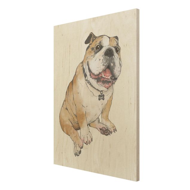 Stampe Illustrazione - Cane Bulldog Pittura