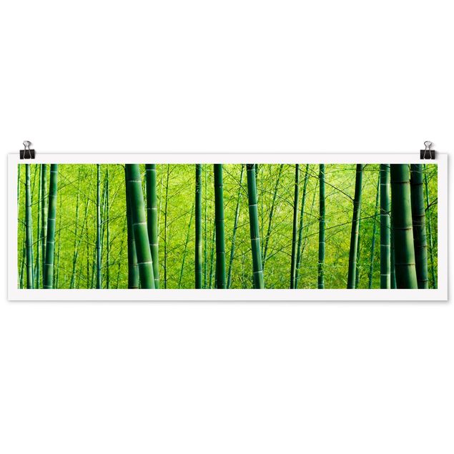 Quadri moderni per arredamento Foresta di bambù