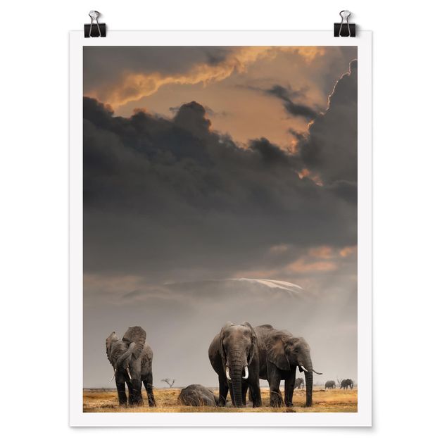 Quadro moderno Elefanti nella savana