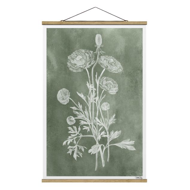 Quadro verde Illustrazione vintage Salvia