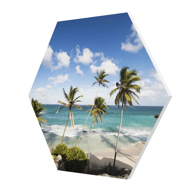 Quadro natura Spiaggia di Barbados