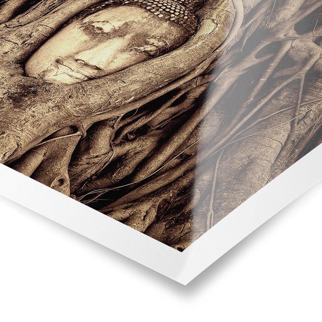 Quadri marroni Buddha ad Ayutthaya rivestito dalle radici degli alberi in marrone