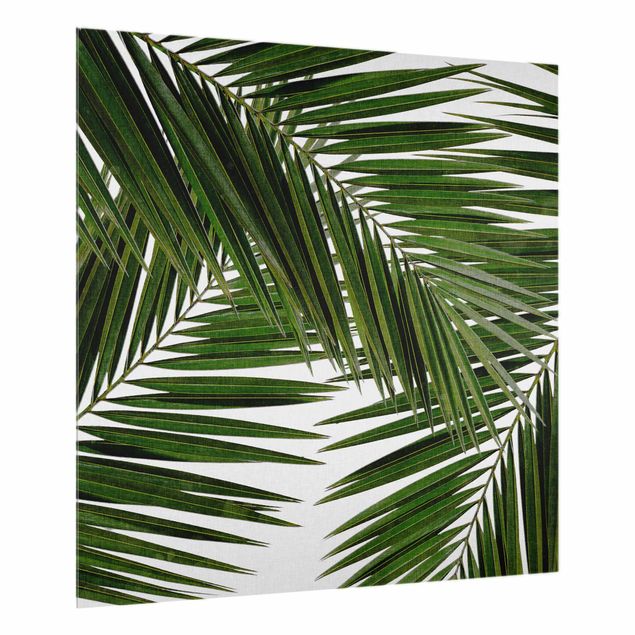 Paraschizzi con paesaggio Vista attraverso le foglie di palma verde