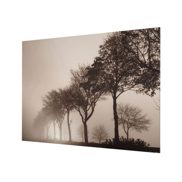 Paraschizzi in vetro - Viale alberato nella nebbia mattutina - Formato orizzontale 4:3