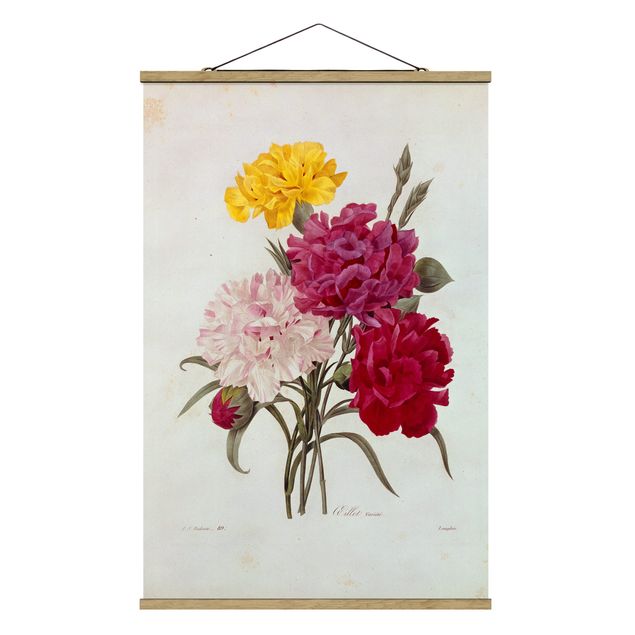 Quadri fiori Pierre Joseph Redoute - Chiodi di garofano