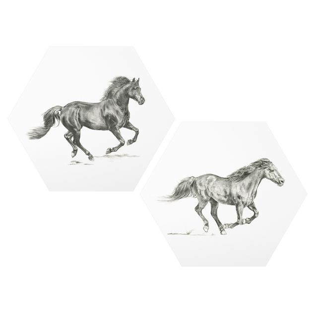 Quadri animali Set di studio sui cavalli selvaggi I