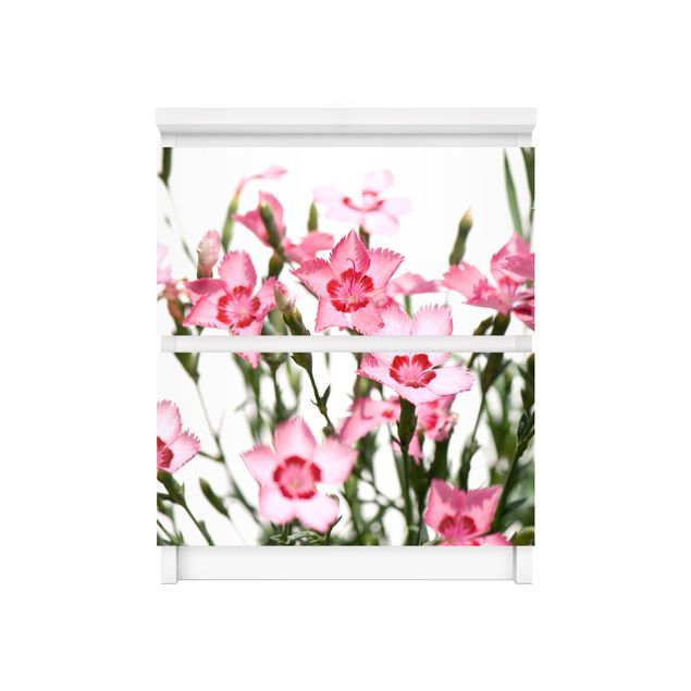 Carta adesiva per mobili IKEA - Malm Cassettiera 2xCassetti - Pink Flowers