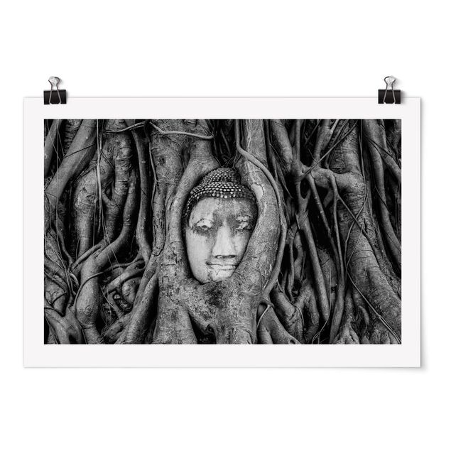Poster bianco e nero Buddha ad Ayutthaya foderato di radici d'albero in bianco e nero