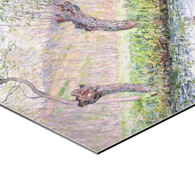 Quadri natura Claude Monet - Alberi di salice in primavera
