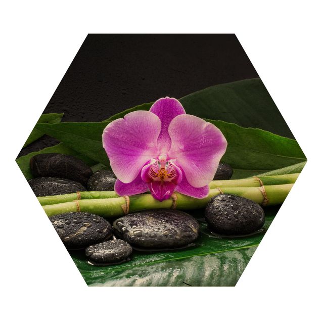 Riproduzioni quadri Bambù verde con fiore di orchidea