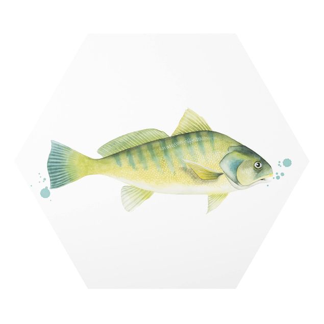 Stampe forex Colore Cattura - Pesce persico