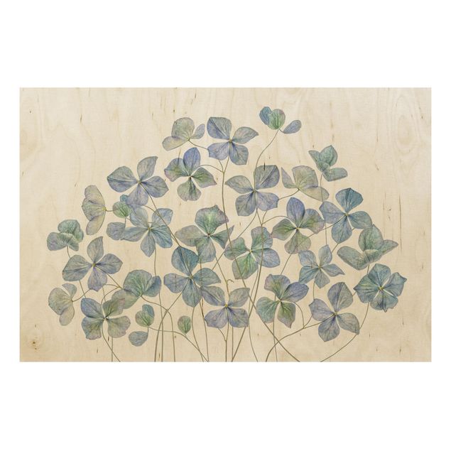 Quadri in legno con fiori Fiori di ortensia blu