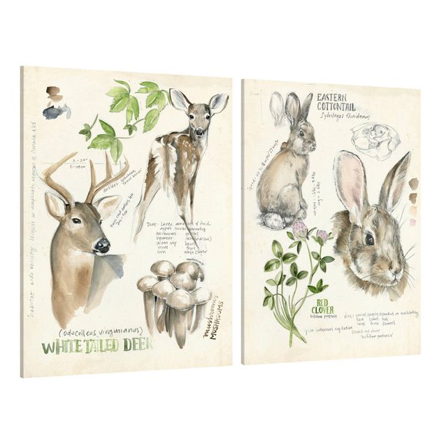 Quadri con fiori Diario della natura selvaggia - Cervi e conigli Set II