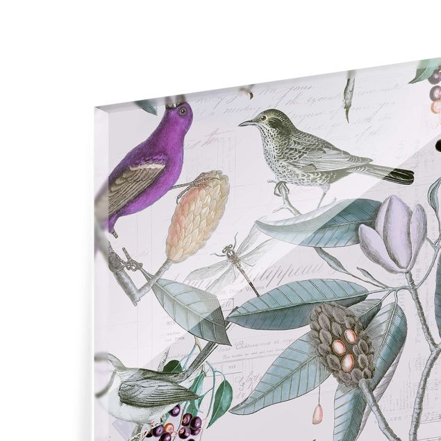 Paraschizzi cucina Collage vintage - Uccelli nostalgici