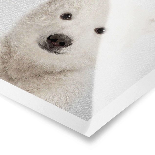 Poster bianco nero Orsetto polare Emil