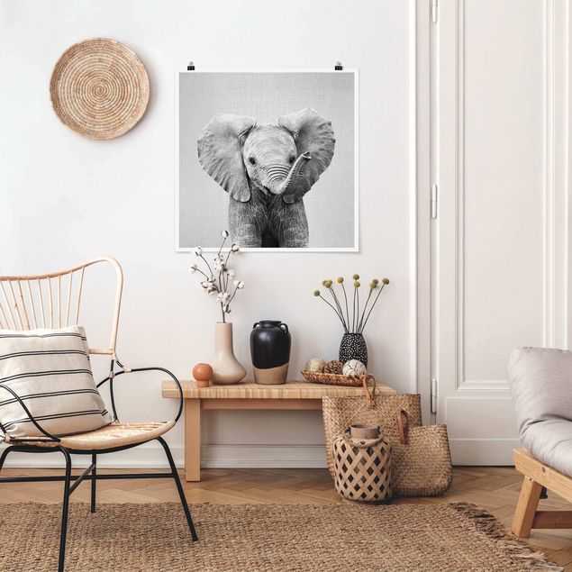 Quadri moderni   Elefantino Elsa Bianco e Nero