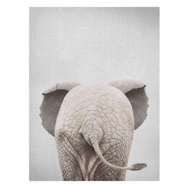 Quadri in bianco e nero Elefantino da dietro