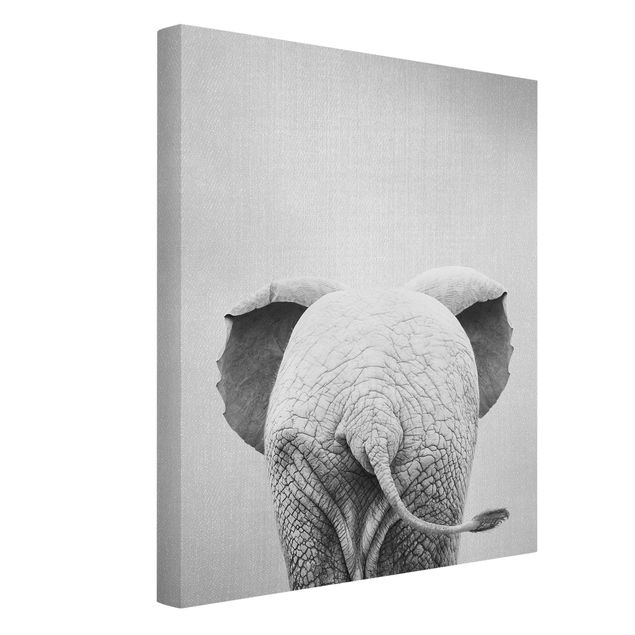Quadro moderno Elefantino da dietro bianco e nero