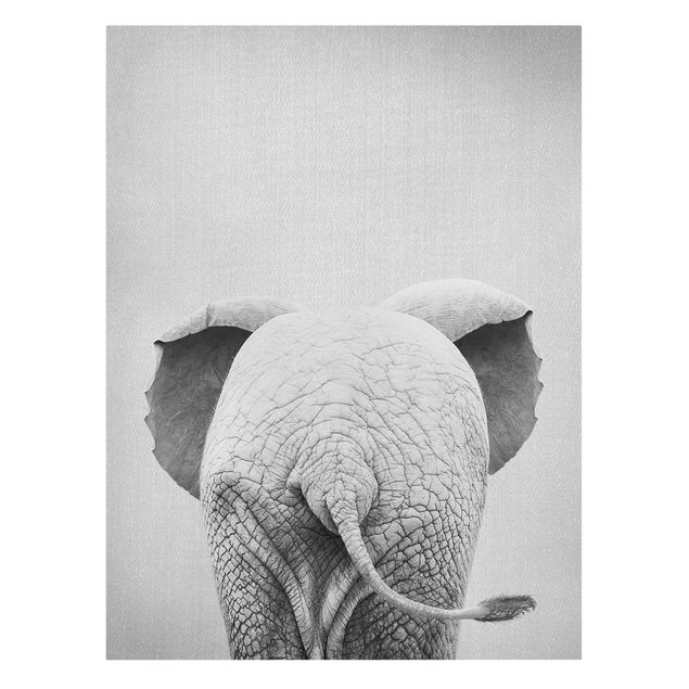 Quadri in bianco e nero Elefantino da dietro bianco e nero