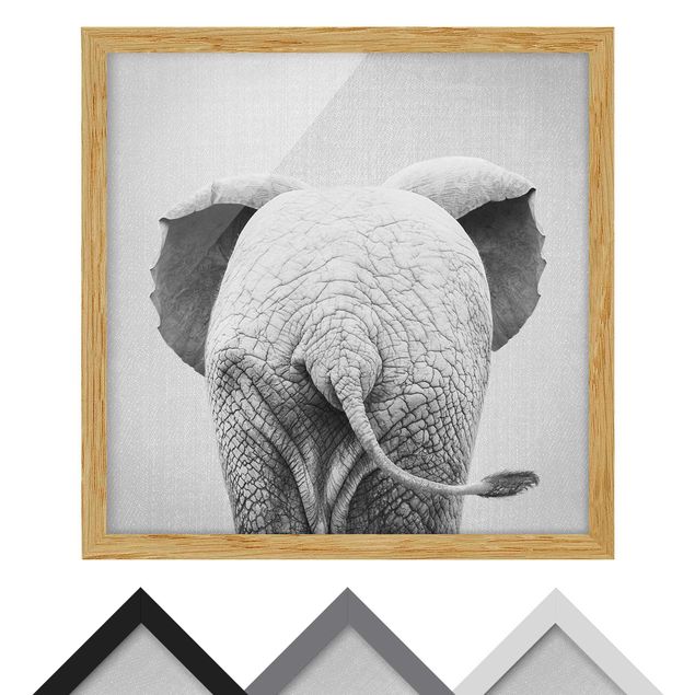 Quadri stampe Elefantino da dietro bianco e nero