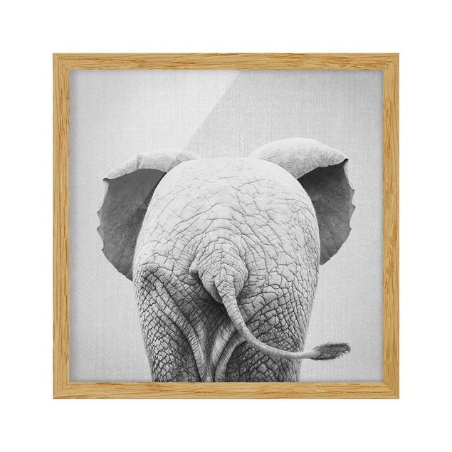 Quadri con cornice con animali Elefantino da dietro bianco e nero