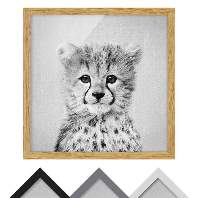 Poster con cornice Piccolo ghepardo Gino bianco e nero