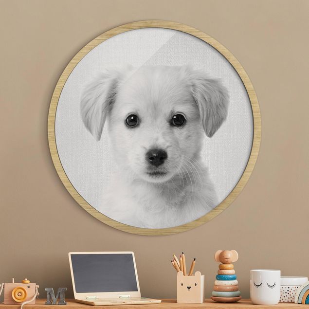 Quadro cane Cucciolo di Golden Retriever Gizmo Bianco e Nero