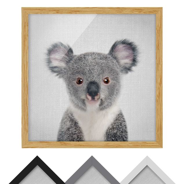 Stampe incorniciate Piccolo Koala Klara