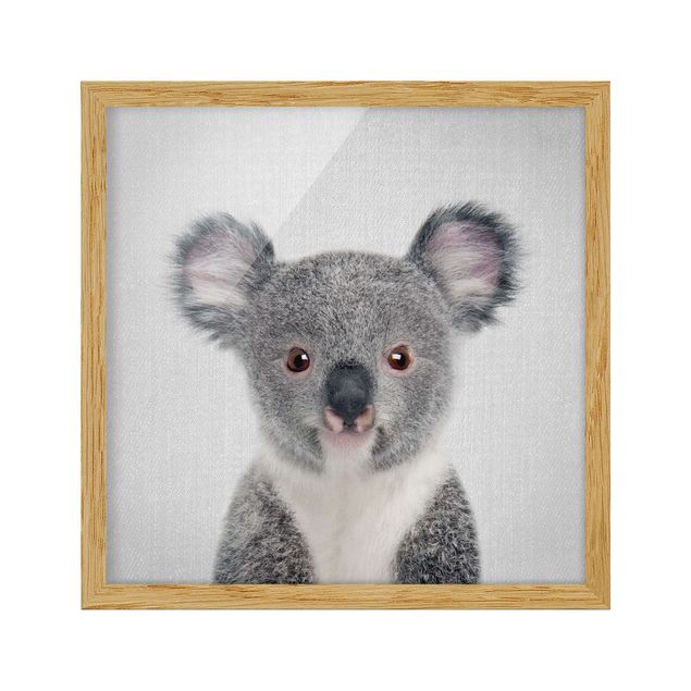 Quadro moderno Piccolo Koala Klara