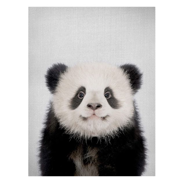 Quadro animali Piccolo Panda Prian