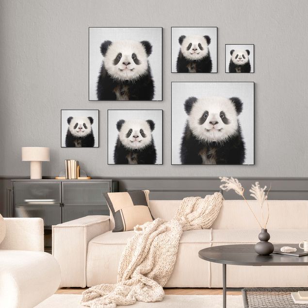 Quadro animali Piccolo panda Prian