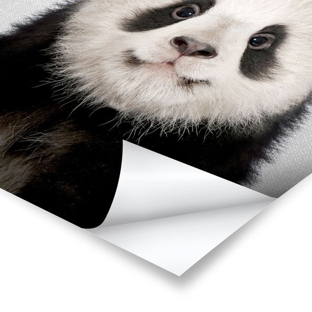 Stampe Piccolo Panda Prian