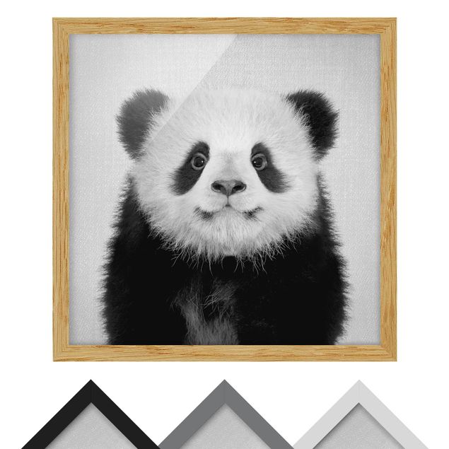 Stampe Cucciolo di Panda Prian Bianco e Nero