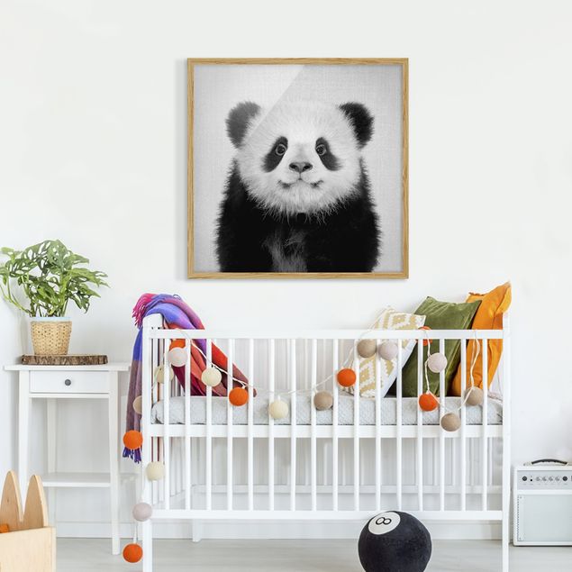 Quadri con cornice in bianco e nero Cucciolo di Panda Prian Bianco e Nero