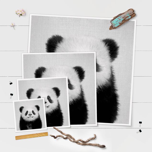 Poster da parete  Cucciolo di Panda Prian Bianco e Nero