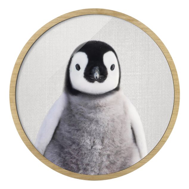 Stampe Piccolo pinguino Pepe