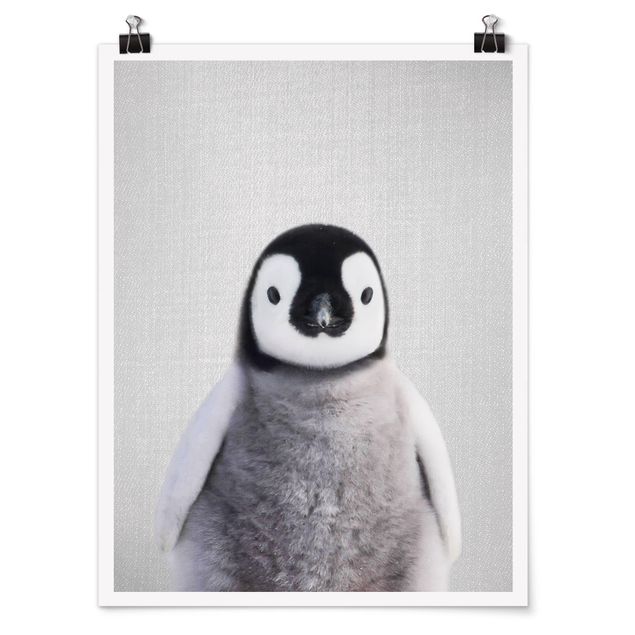 Quadri con animali Piccolo pinguino Pepe