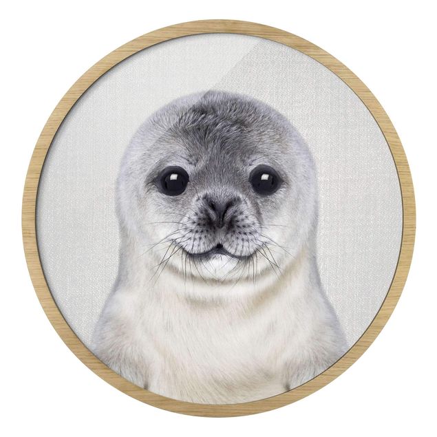 Quadri Piccola foca Ronny