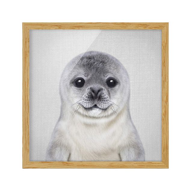 Quadro moderno Piccola foca Ronny