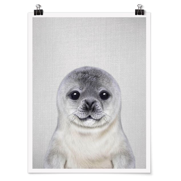 Quadro animali Piccola foca Ronny