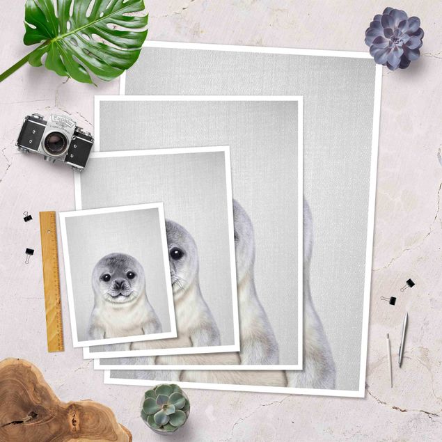Poster riproduzione - Piccola foca Ronny