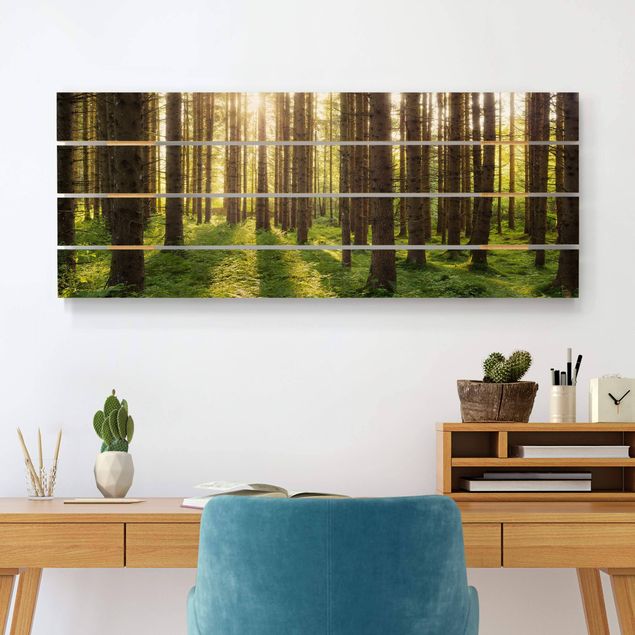Quadri in legno con paesaggio Raggi di sole nella foresta verde
